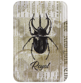 Beetle Post Card