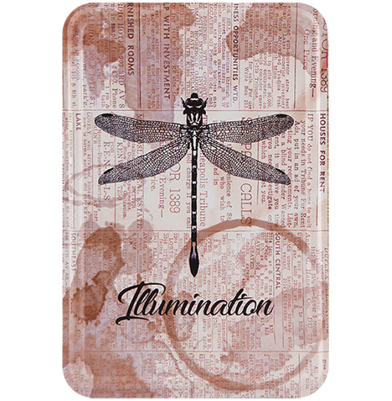 Dragonfly Post Card