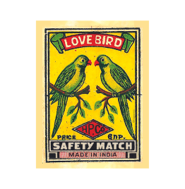 Love Bird Poster